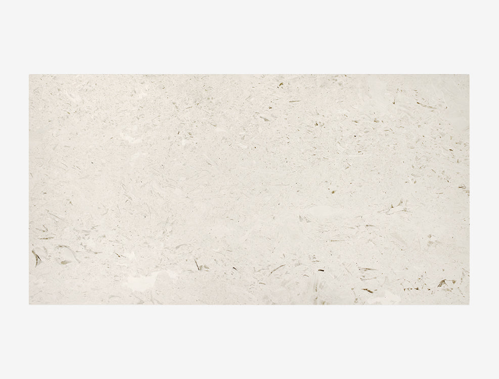 Ivory Fossil Limestone - Filled & Brushed