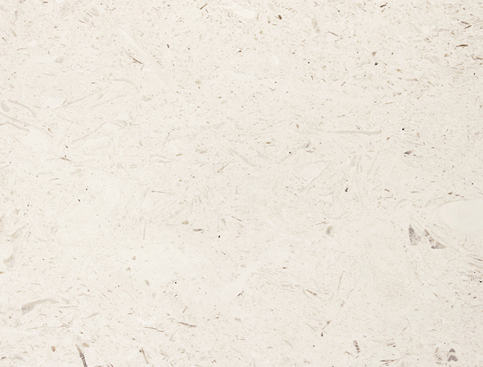 Ivory Fossil Limestone - Filled & Brushed
