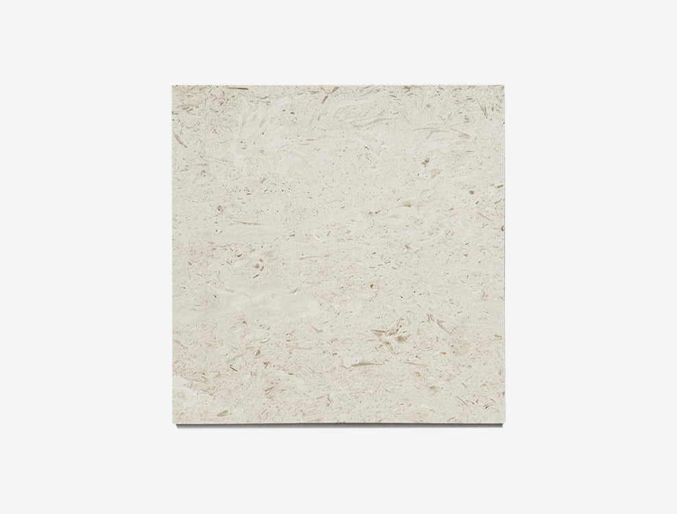 Ivory Fossil Limestone - Filled & Brushed