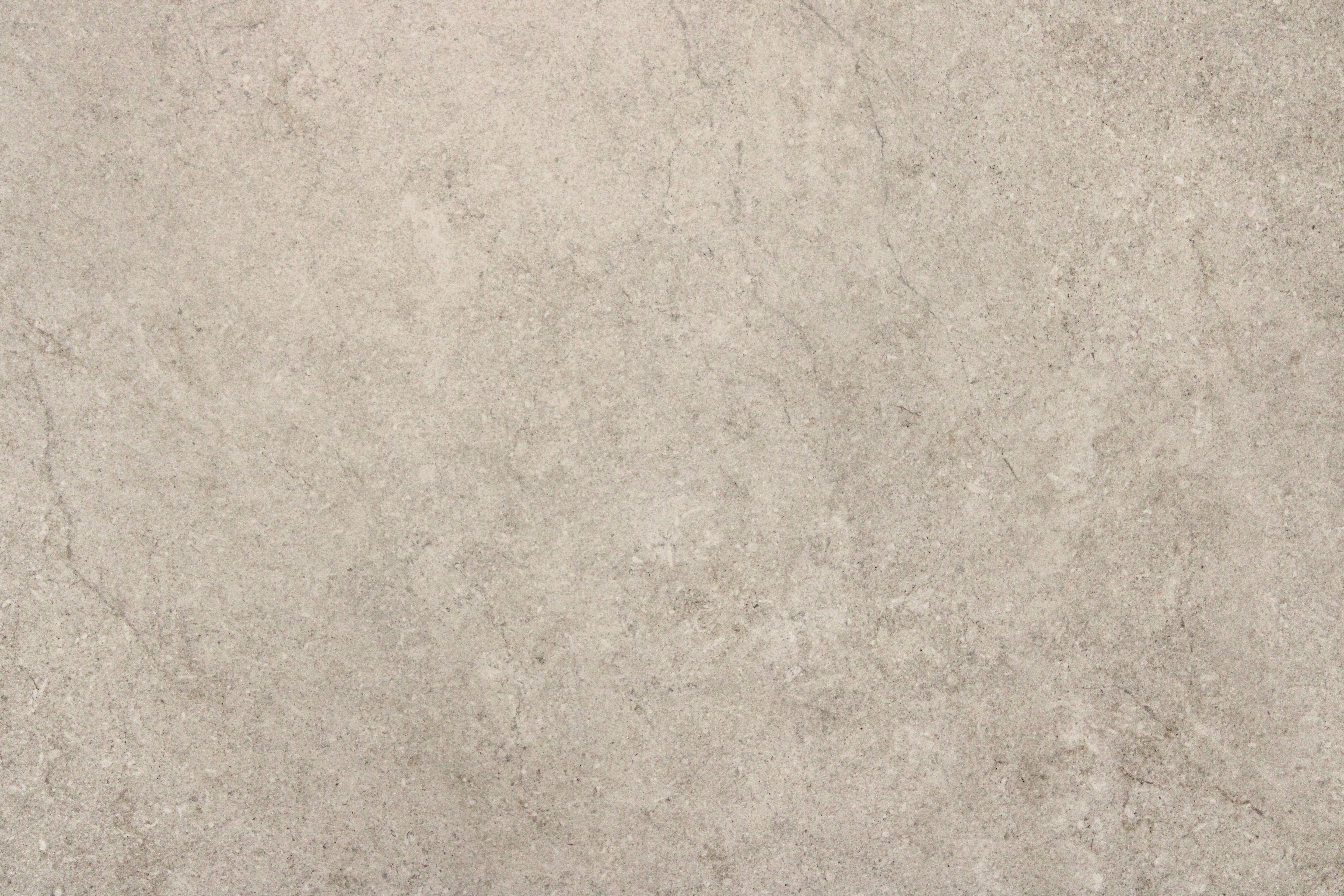 Albatross Latte In Out