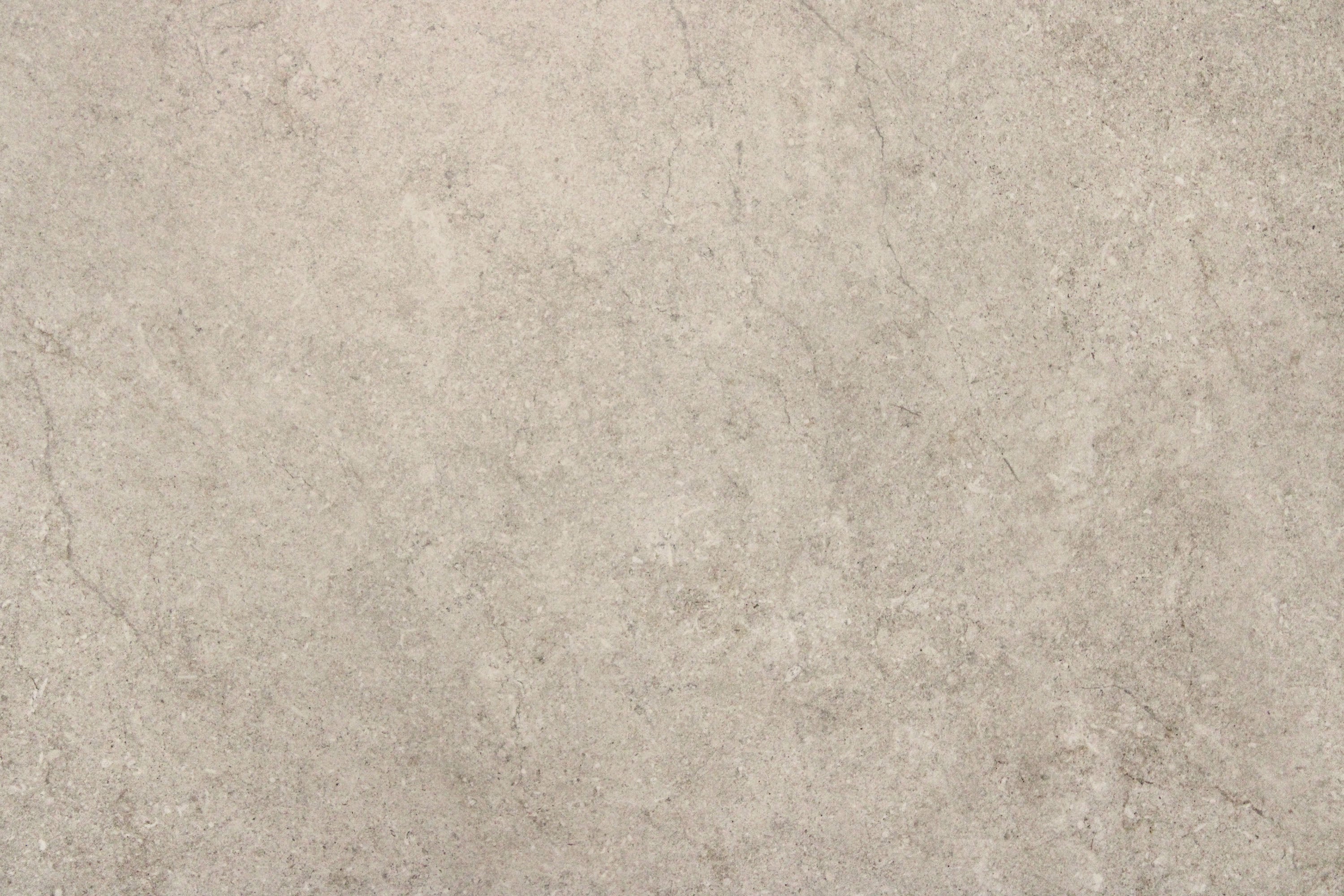 Albatross Latte In Out