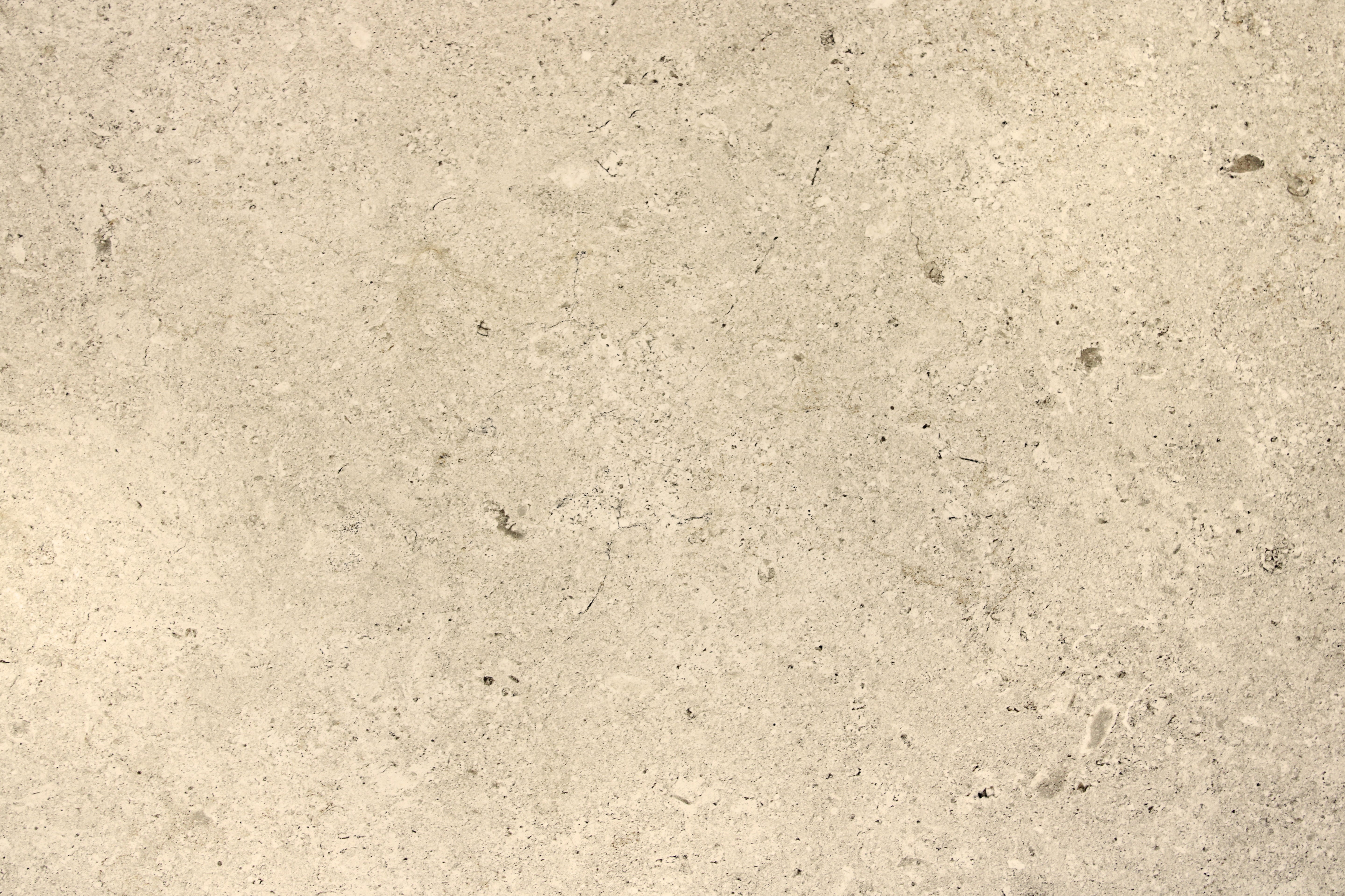 Atelier Beige Internal