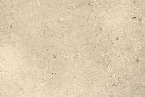 Atelier Beige External Multi Size French Pattern