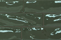 Cloud Forest Gloss Subway
