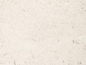 Ivory Fossil Limestone - Filled & Brushed
