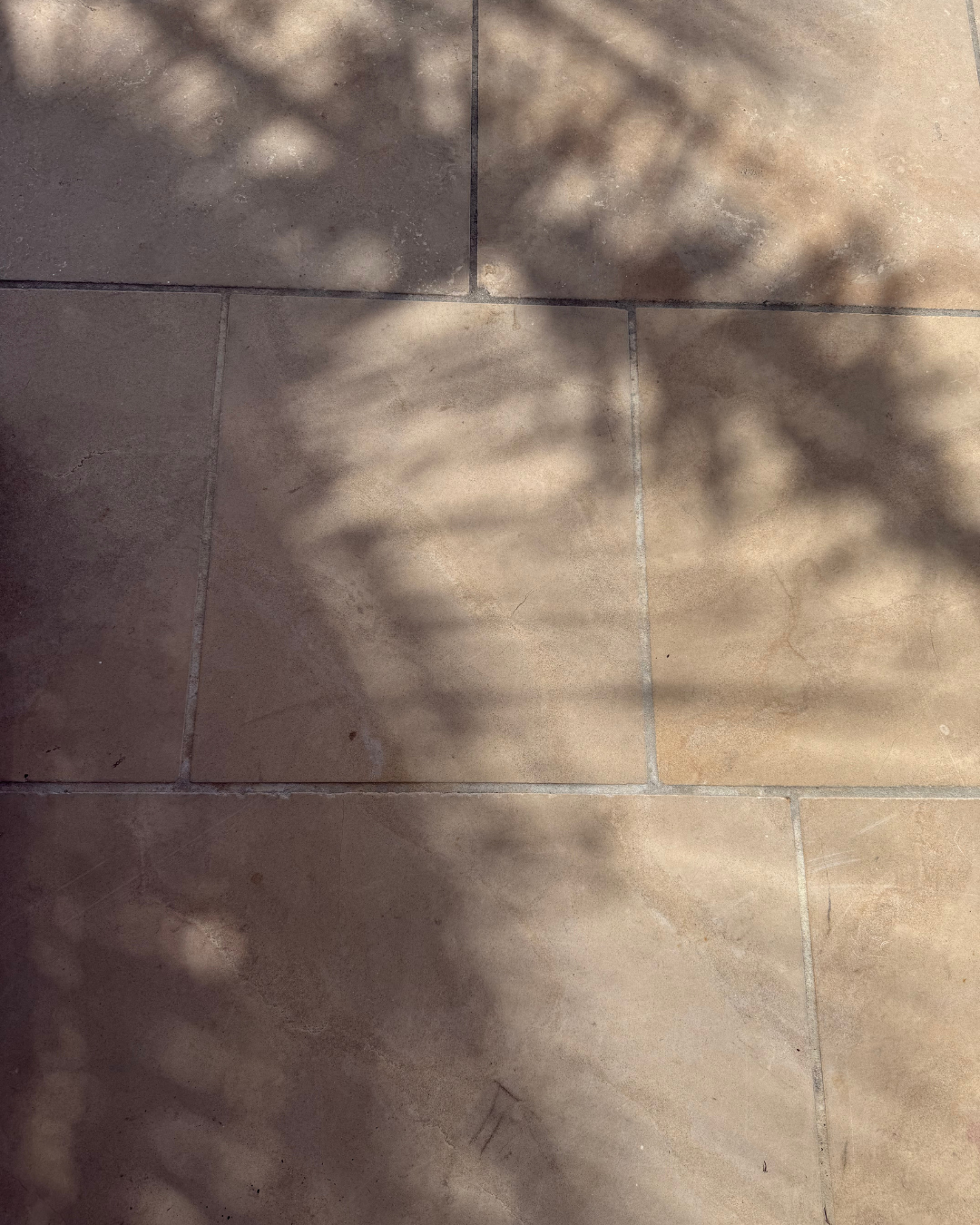 Shadow of a palm tree on a stone floor